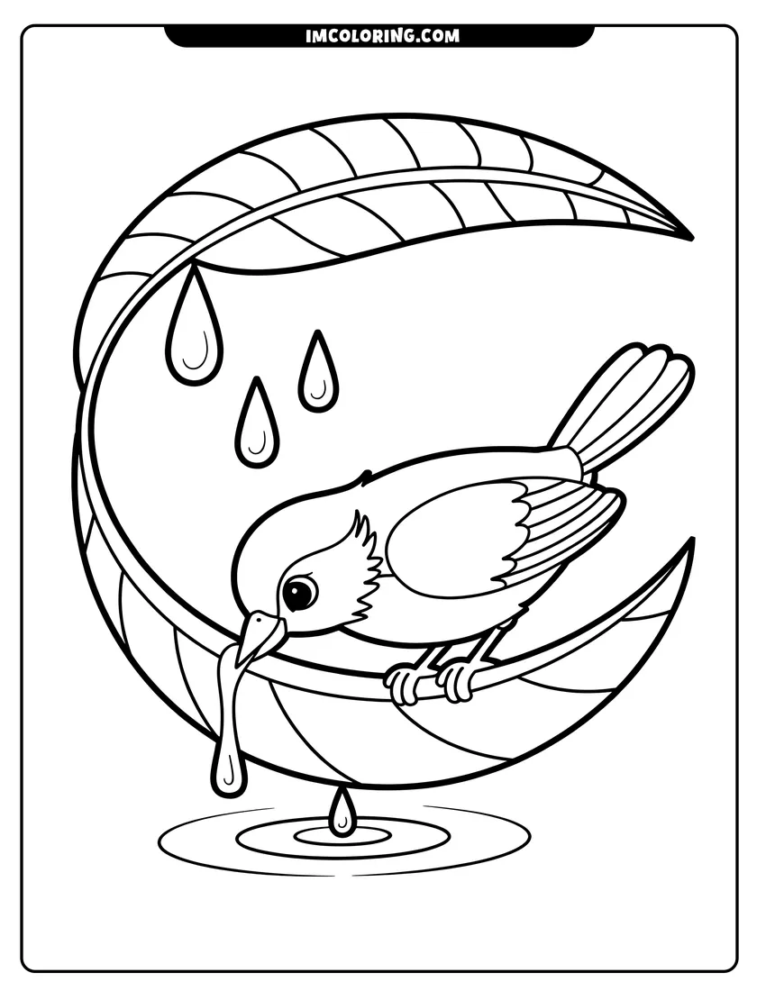 Downloadable coloring page of A small bird perched on a curved leaf drinking falling water droplets into a rippling pond