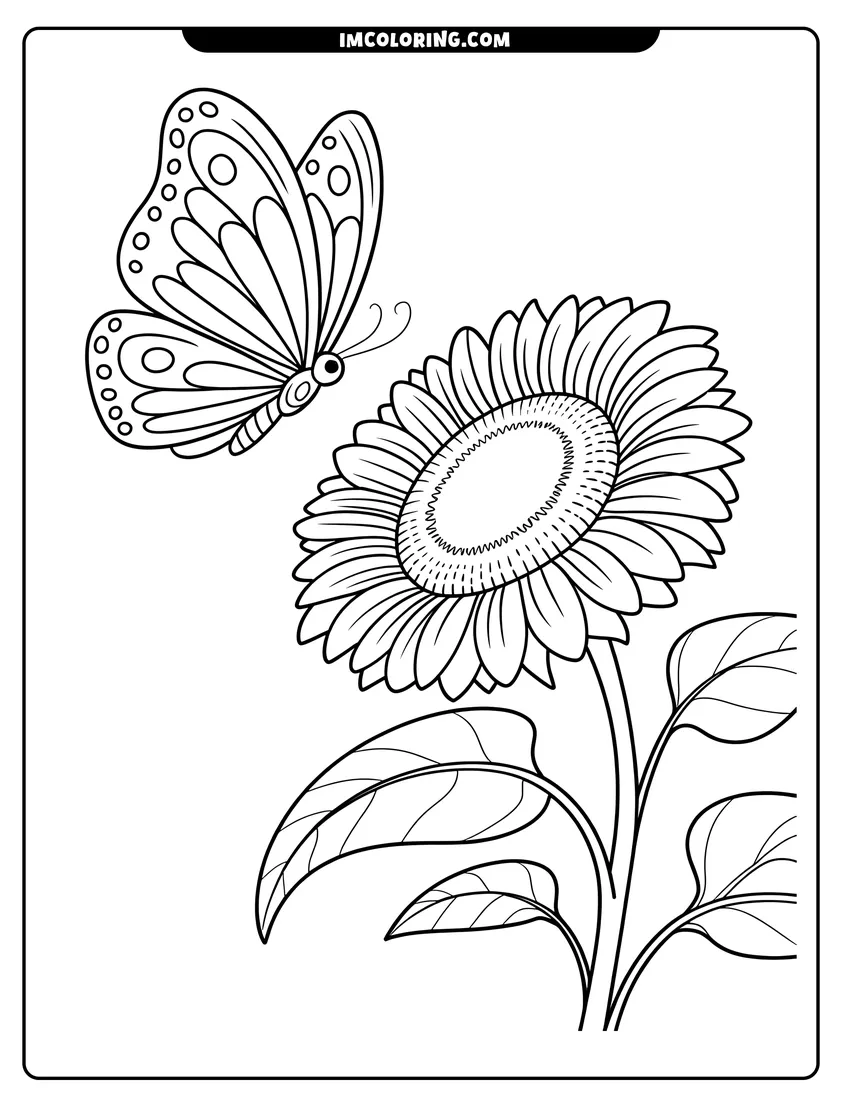 Downloadable coloring page of A butterfly with patterned wings flying toward a large sunflower in full bloom with green leaves