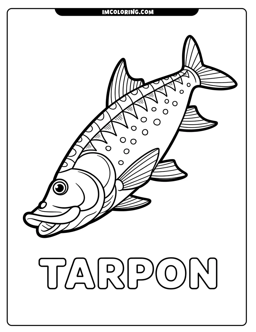 Black and white line art of A detailed black and white illustration of a tarpon fish with the word Tarpon written below it