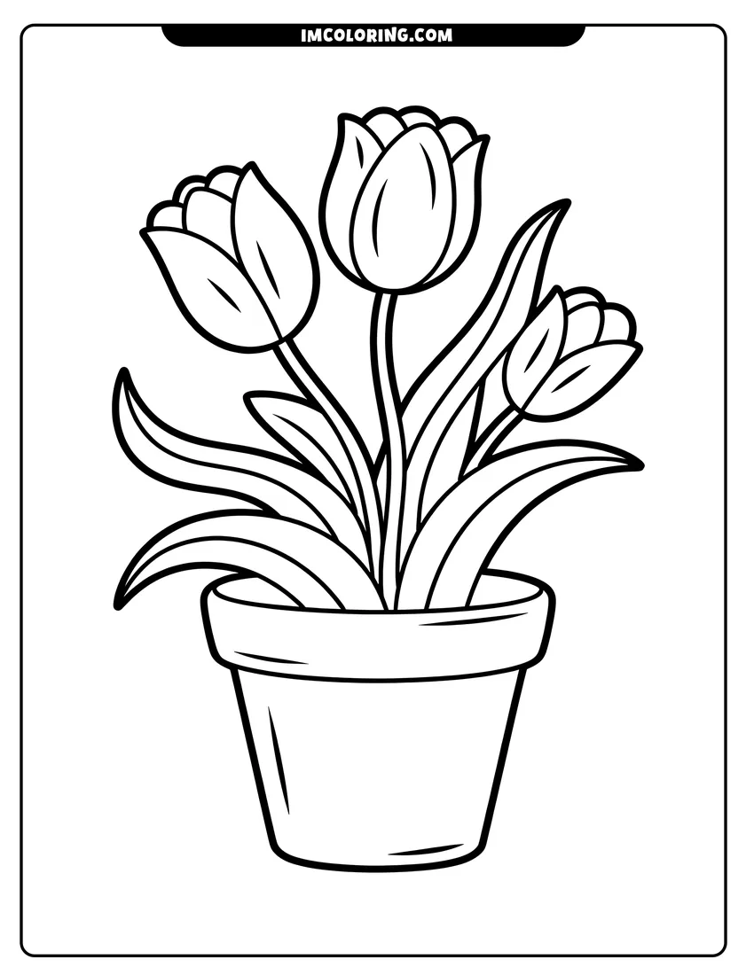 Outline drawing of Three tulips with long leaves growing inside a simple flower pot with thick black outlines for children