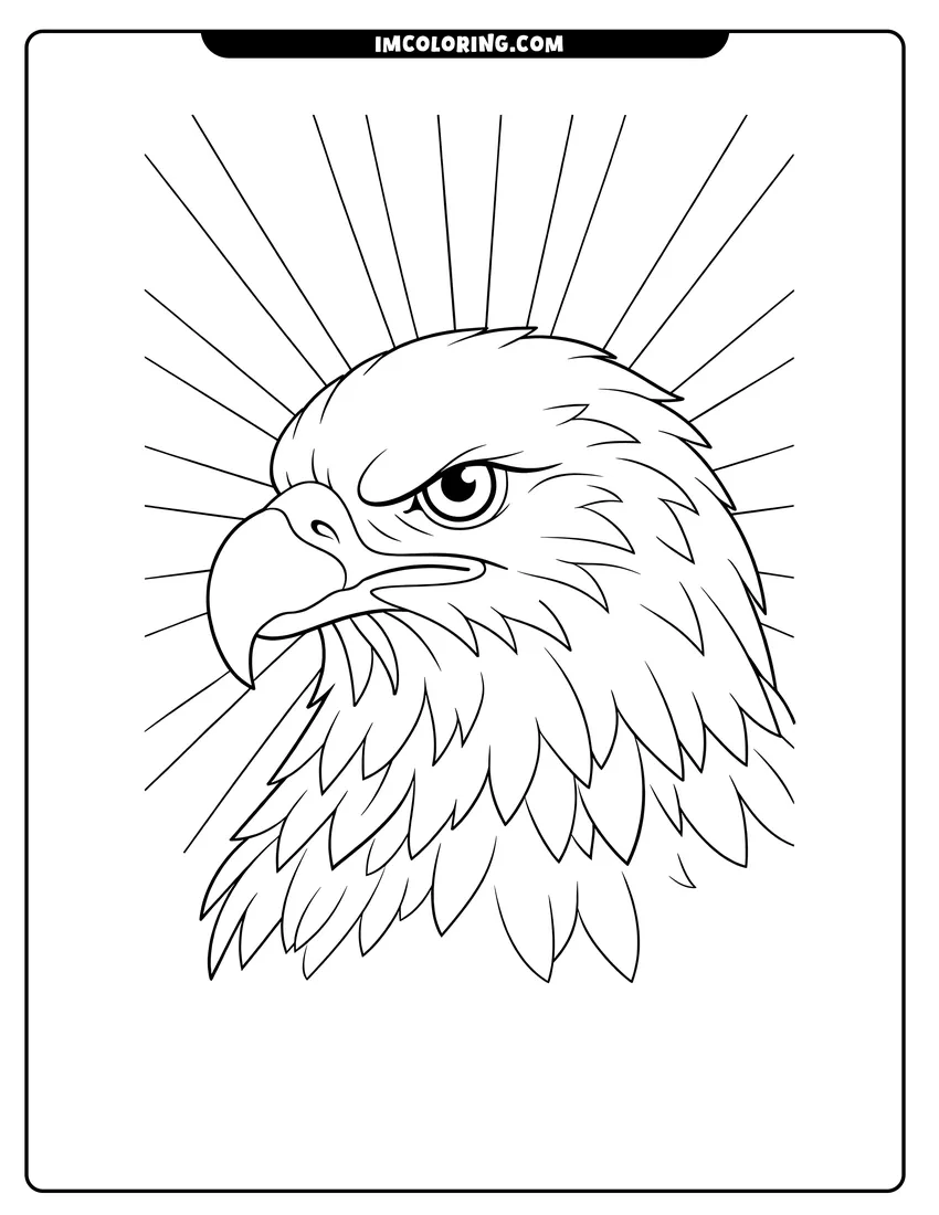Line art depicting Close-up bald eagle head with sun rays