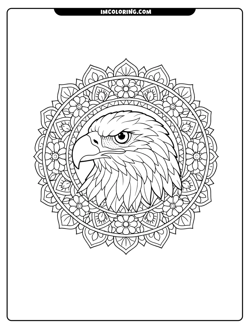 Printable outline of Bald eagle head in a floral mandala circle