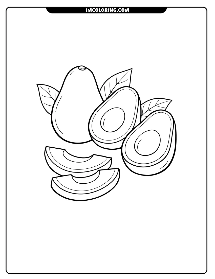 Cute Group of avocado halves and slices with simple leaves outline for coloring