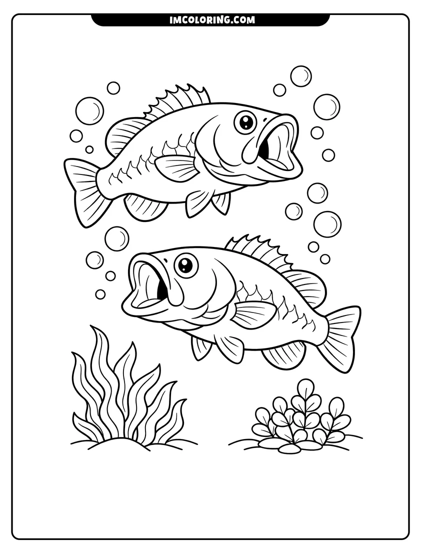 Scene showing Two bass swimming together through the water to color