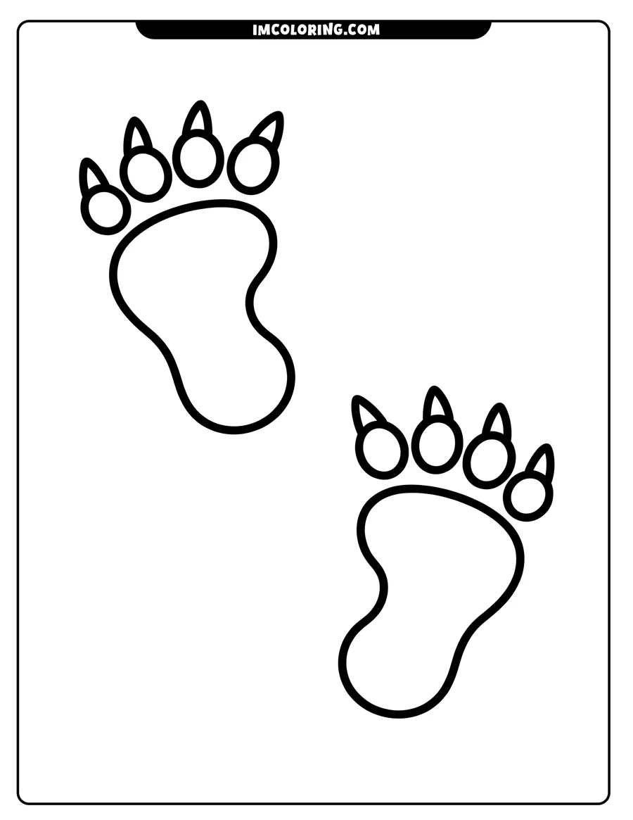 Outline of two bear paw prints, each showing four toes and claws.
