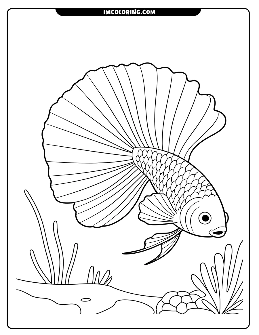 Line art of a betta fish with flowing fins, swimming above rocks and aquatic plants.
