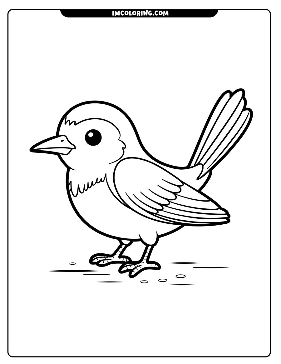 Outline of a small bird standing on the ground