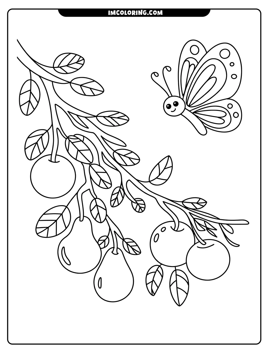 Outline of a butterfly near a tree branch with apples and pears.