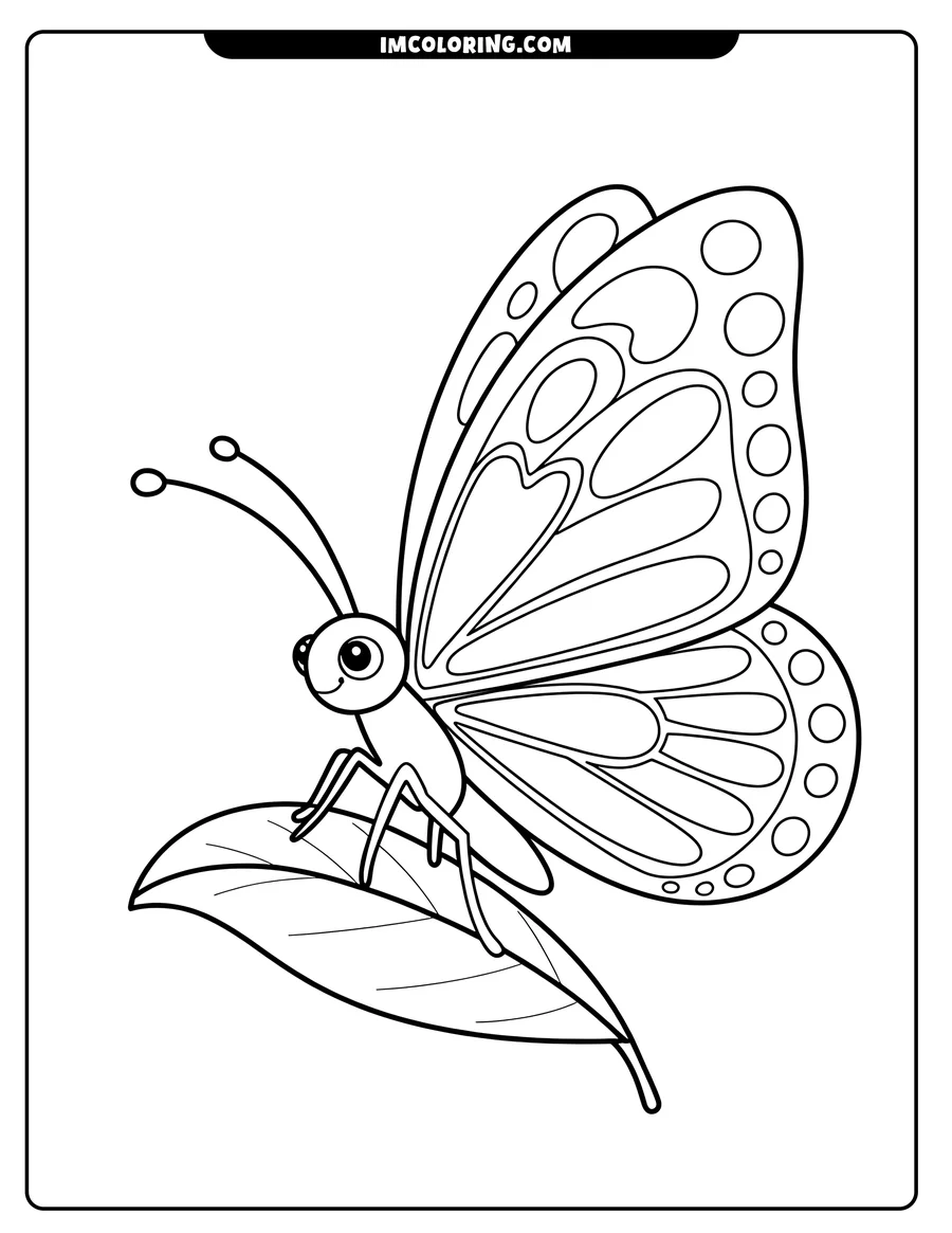 Outline of a butterfly with patterned wings resting on a leaf.
