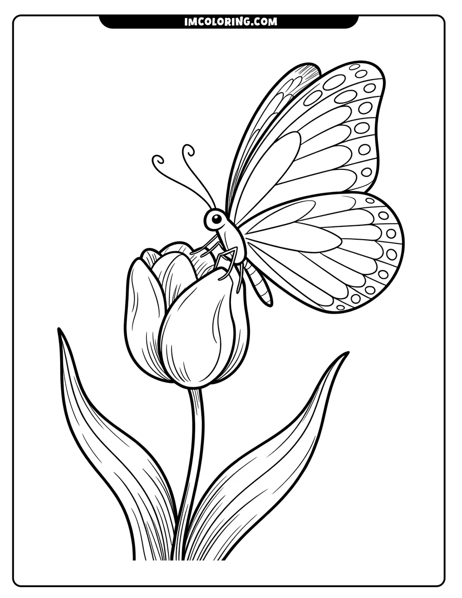 Outline of a butterfly resting on a tulip flower. The butterfly's wings have circular and striped patterns. Two long leaves curve out from the tulip's stem.