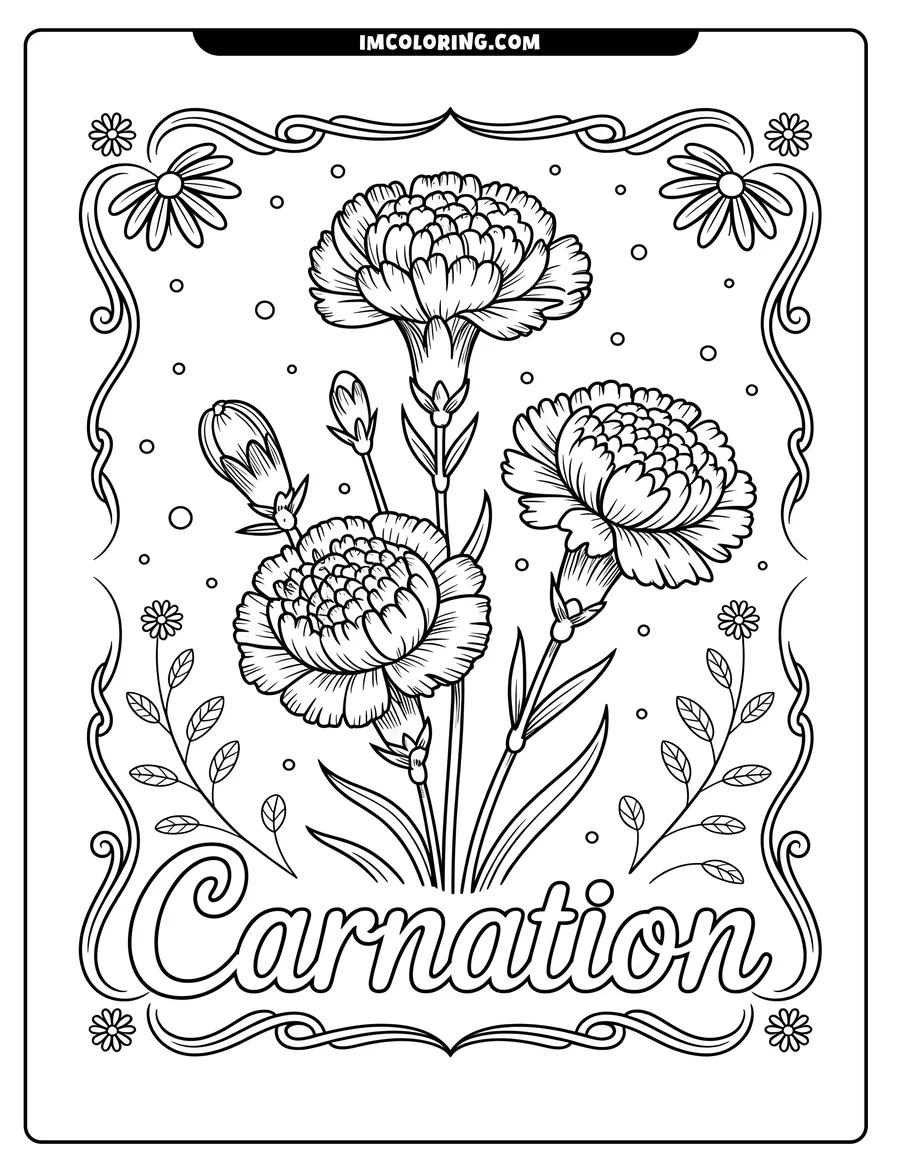 Line art illustration of three carnations. Two large, ruffled blooms and one bud are shown with stems and leaves. The image includes daisies and decorative swirls in the border.