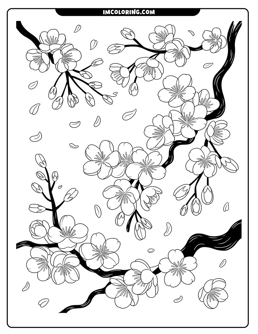 Line art of cherry blossom branches with flowers and buds. Petals are shown falling around the branches.