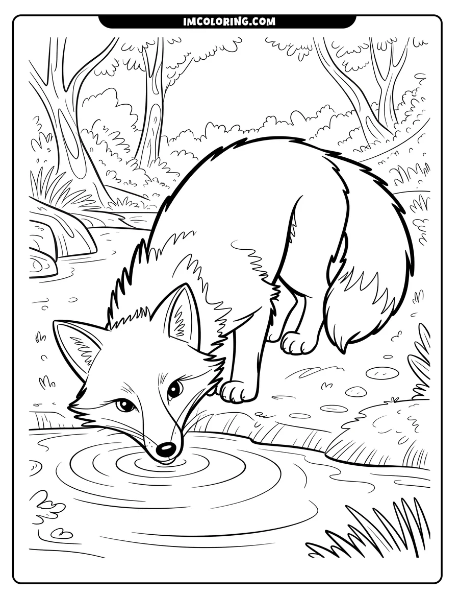 Line art of a fox drinking water from a pond in a forest setting.