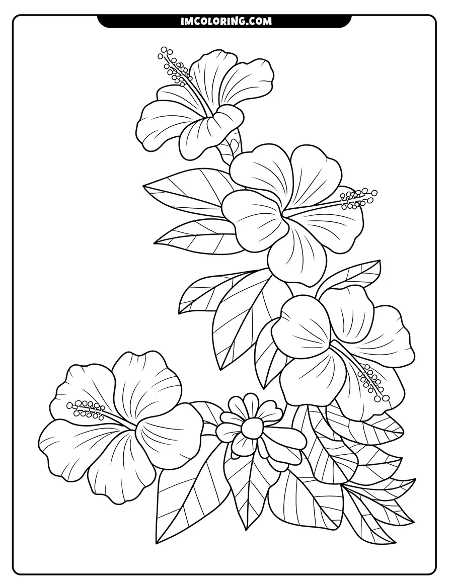 Line art of a cluster of hibiscus flowers and leaves, ready to be colored.