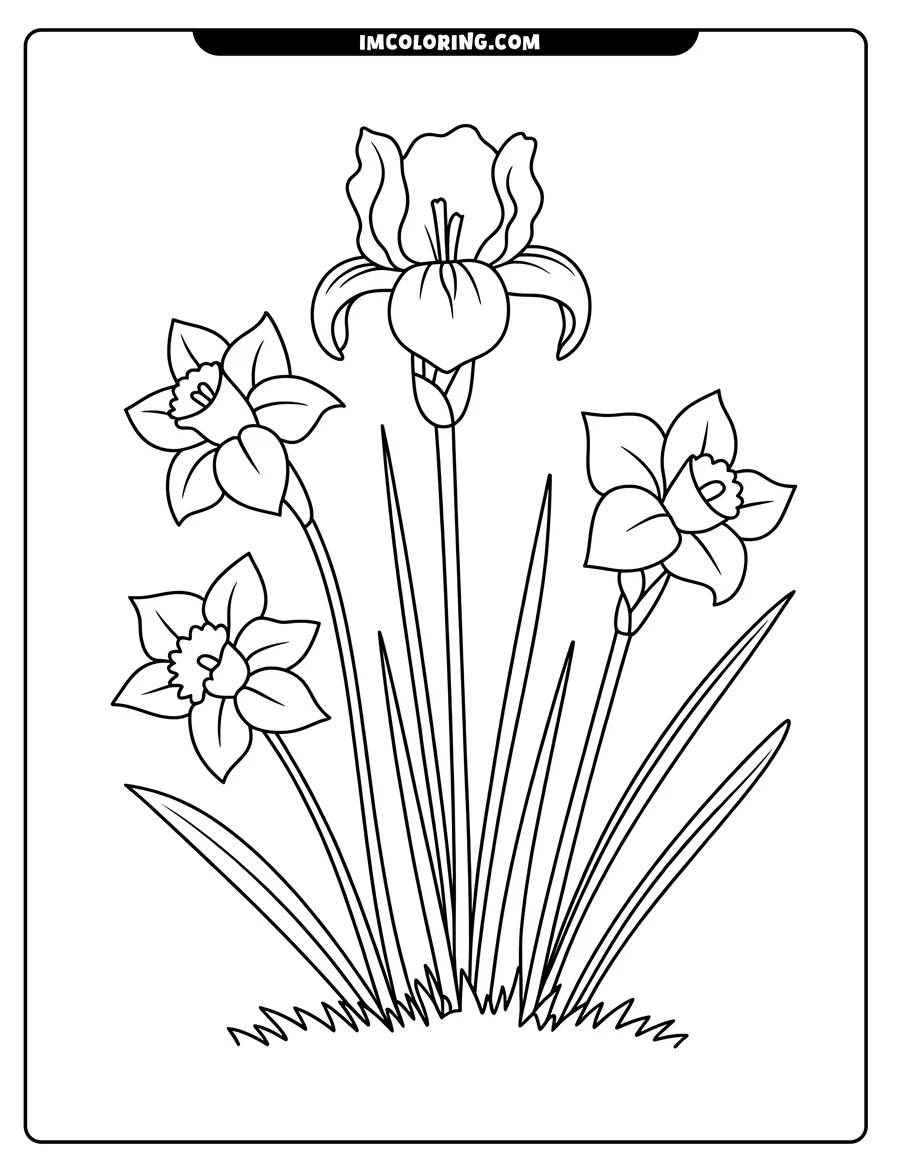 Line art of an iris and two daffodils growing from a patch of grass.