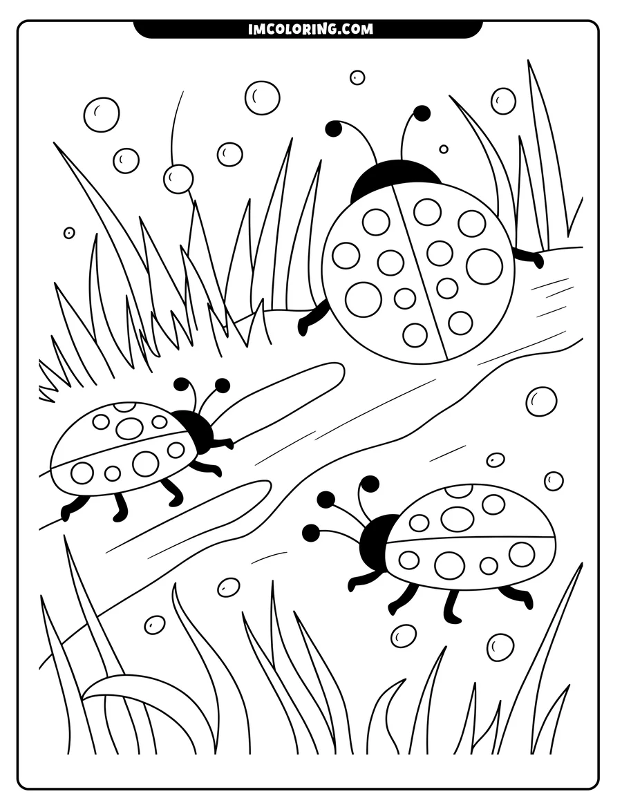 Outline of three ladybugs in the grass. There are bubbles and small leaves of grass.