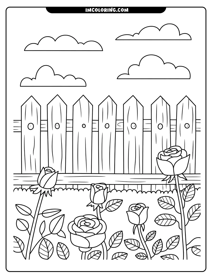 Outline of several roses growing in a garden in front of a wooden picket fence, with clouds in the sky.