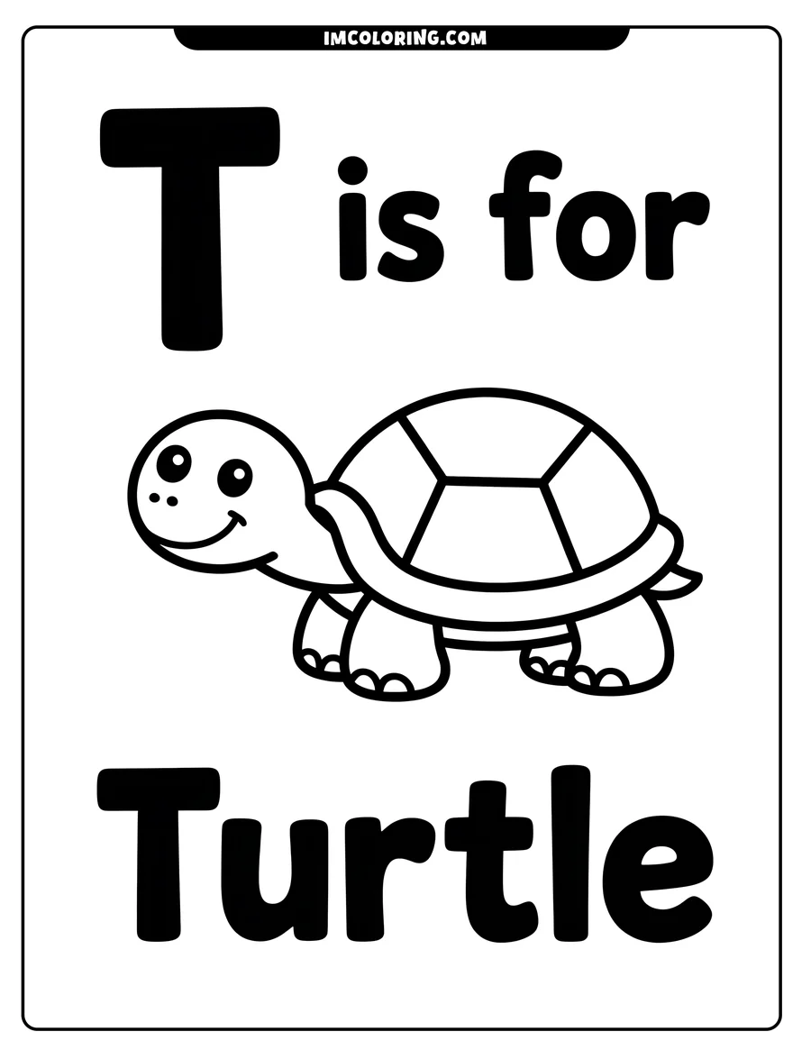 Simple line art of a turtle with a patterned shell. The words