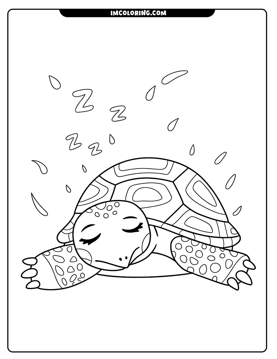 Line art of a sleeping turtle with closed eyes and Z's indicating sleep.